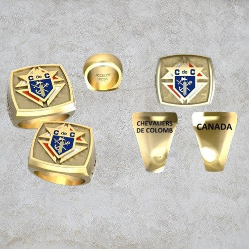 Bague 3e degré logo couleur Duralium/Or 201-S