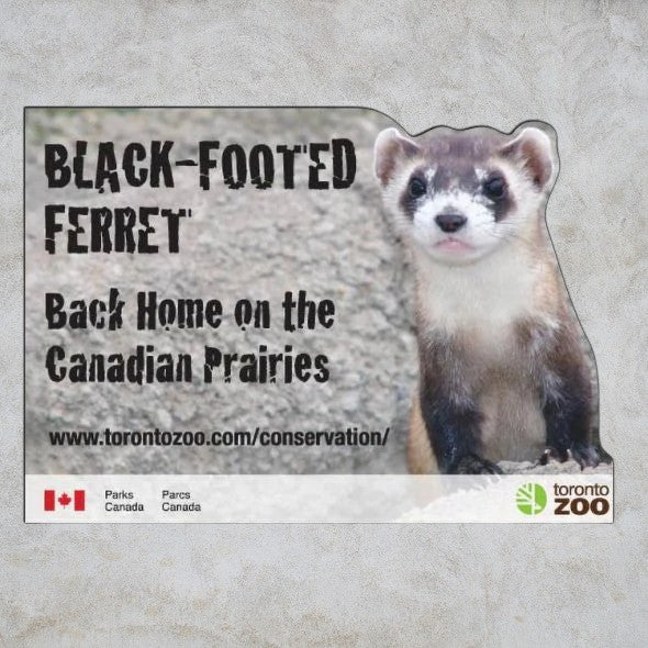 .035 Aimants Formes Spéciales (20.1 à 24 po/ca) QUAD numérique et vernis