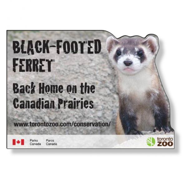 .020 Aimants Formes Spéciales (20.1 à 24 po/ca) QUAD numérique et vernis