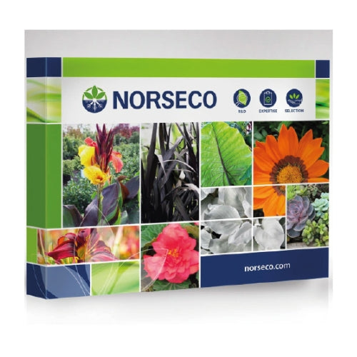 KIOSQUE VELCRO POP-UP - DROIT 10'