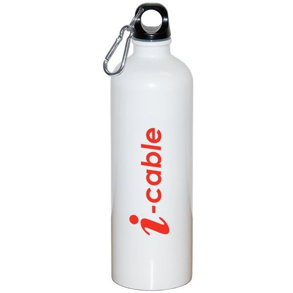 Bouteille d'eau (25 OZ) de 750ML en acier inoxydable
