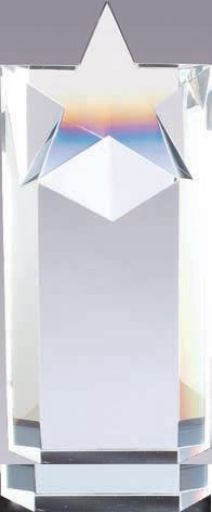 Trophée en cristal CRY128 - 3½”x 8¼”
