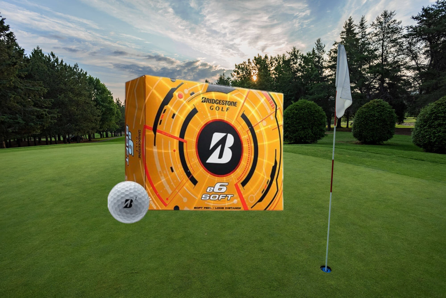 Bridgestone E6 - 5AWX6D