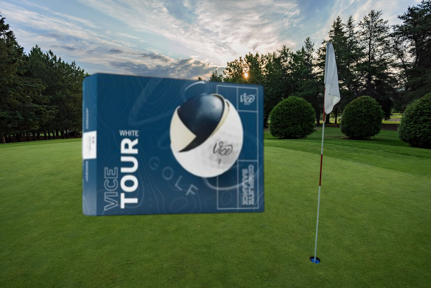 Vice Tour - ViceTour