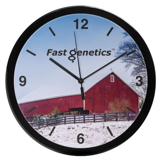 14" Grande horloge murale