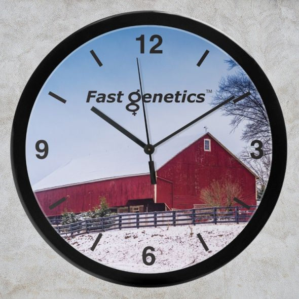 14" Grande horloge murale