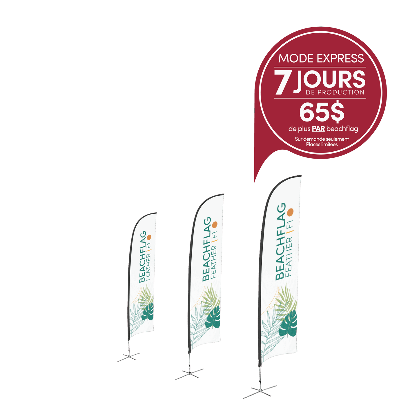 Beachflag feather model