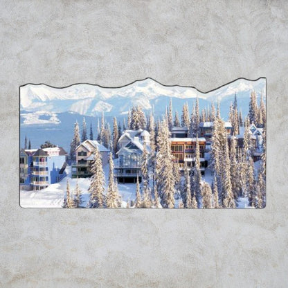 .035 Aimants Formes Spéciales (12.1 à 14 po/ca) QUAD numérique et vernis