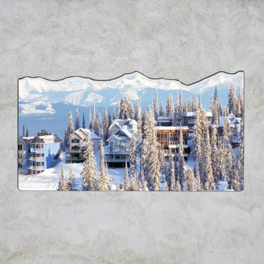 .035 Aimants Formes Spéciales (12.1 à 14 po/ca) QUAD numérique et vernis