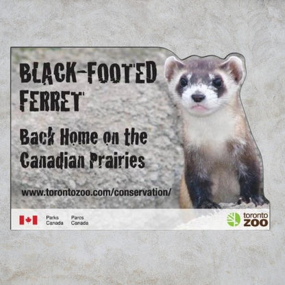 .020 Aimants Formes Spéciales (16.1 à 20 po/ca) QUAD numérique et vernis