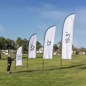 Drapeaux ailes (feather)