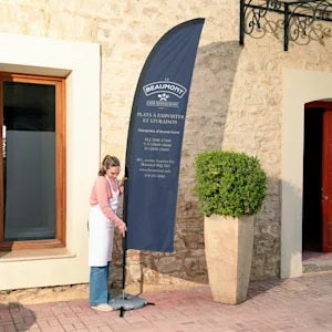 Drapeaux ailes (feather)