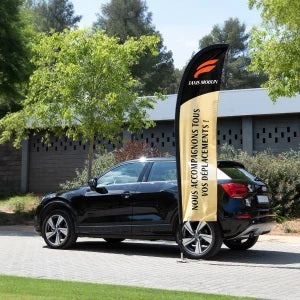 Drapeaux ailes (feather)