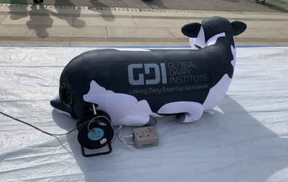 Custom inflatable structure