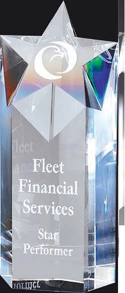 Trophée en cristal CRY59-4¼”x 10”