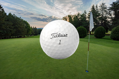 Titleist Pro V1 - TPROV1
