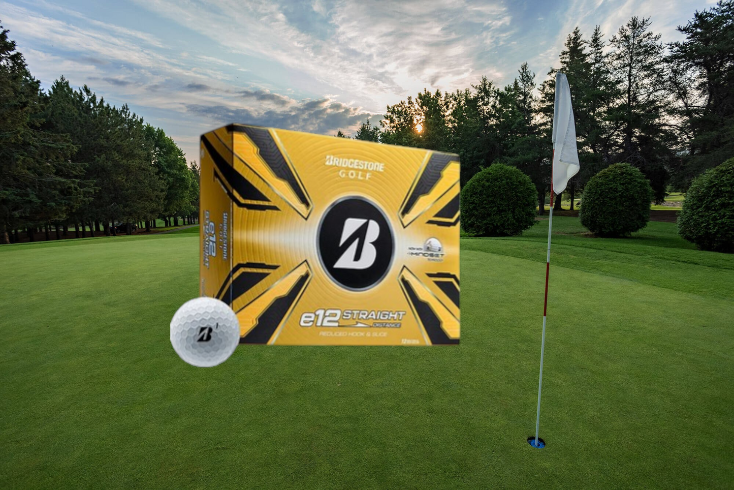 Bridgestone E12 Straight - 5CWX6D