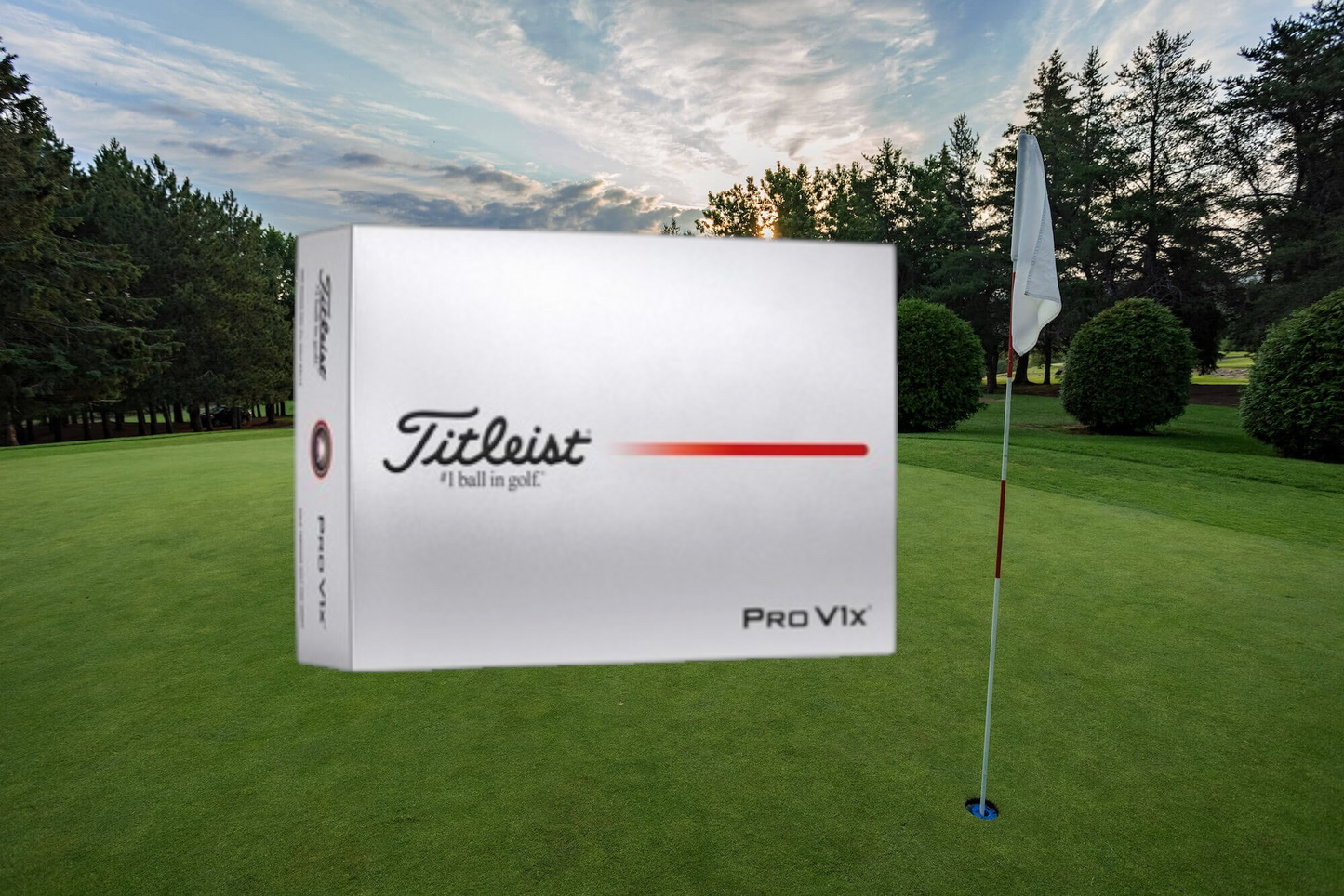 Titleist Pro V1 - TPROV1